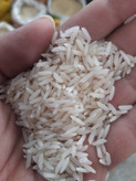 برنج طارم محلی معطر درجه یک گیلان ۱۰ کیلوگرم
