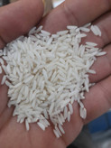 برنج خوشپخت درجه یک حسن سرا ۱۰ کیلو گرم