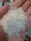 برنج خوشپخت مازندران ۱۰ کیلو گرم